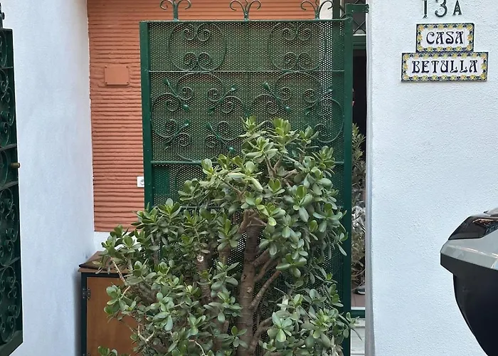 La Betulla In Monteverde